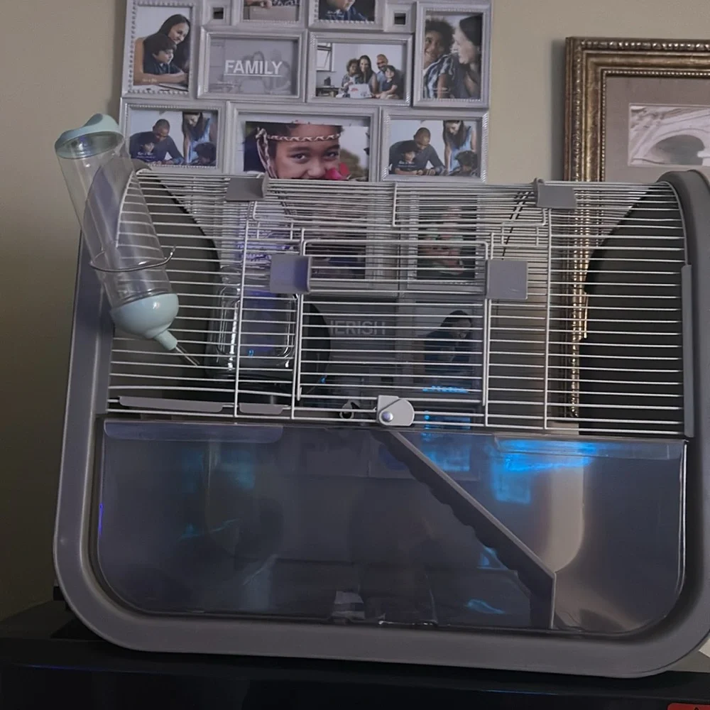 Animal cage (small creatures) hedgehogs, hamsters guinea pigs etc. Must pick up!